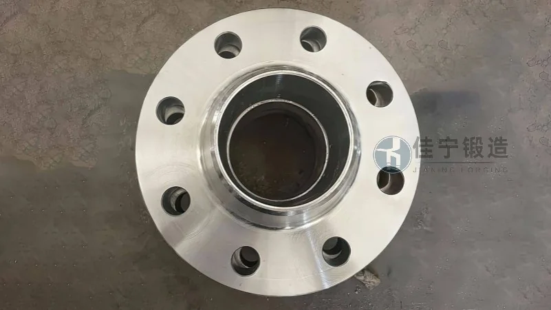 Visão Geral do Forjado de Flange DN32 e Vantagens de Desempenho