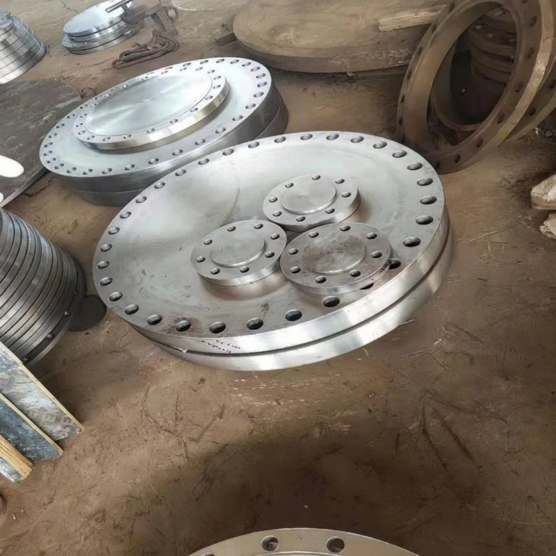 Nuclear tube plate flange