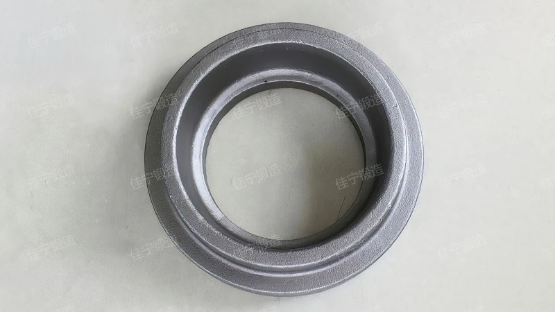 Small ring forging