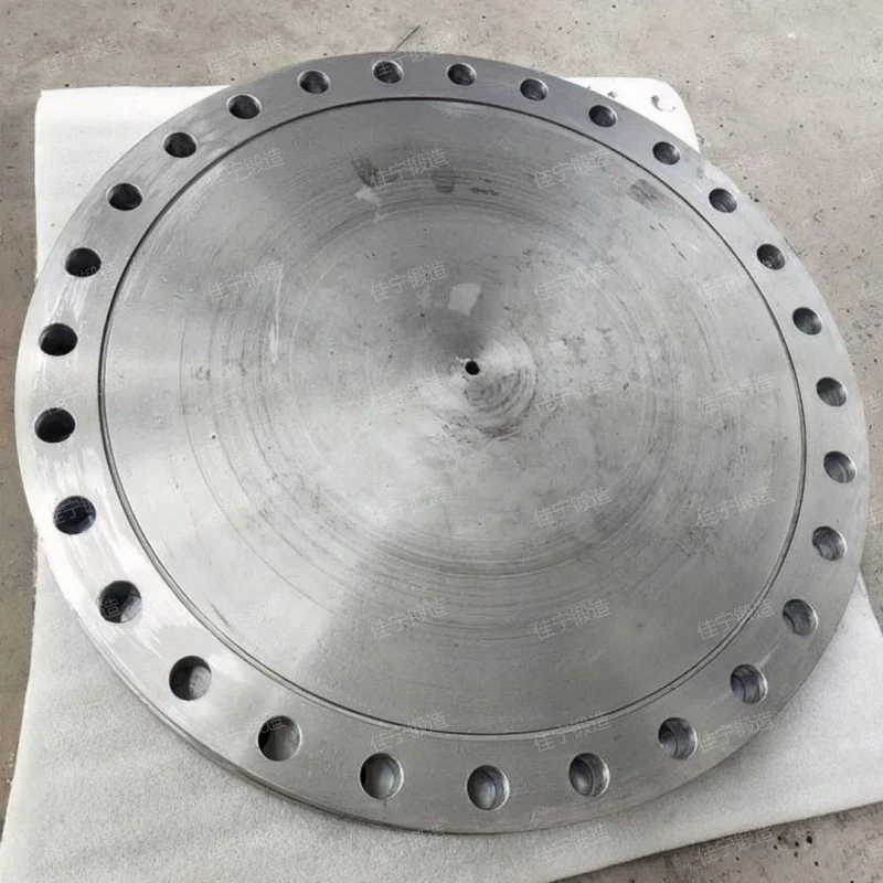 Pipeline blind flange