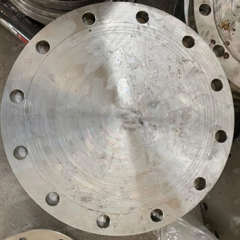 Disk forgings