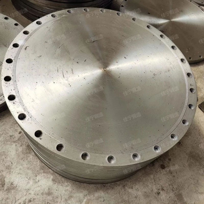 Stainless steel cake forging parts