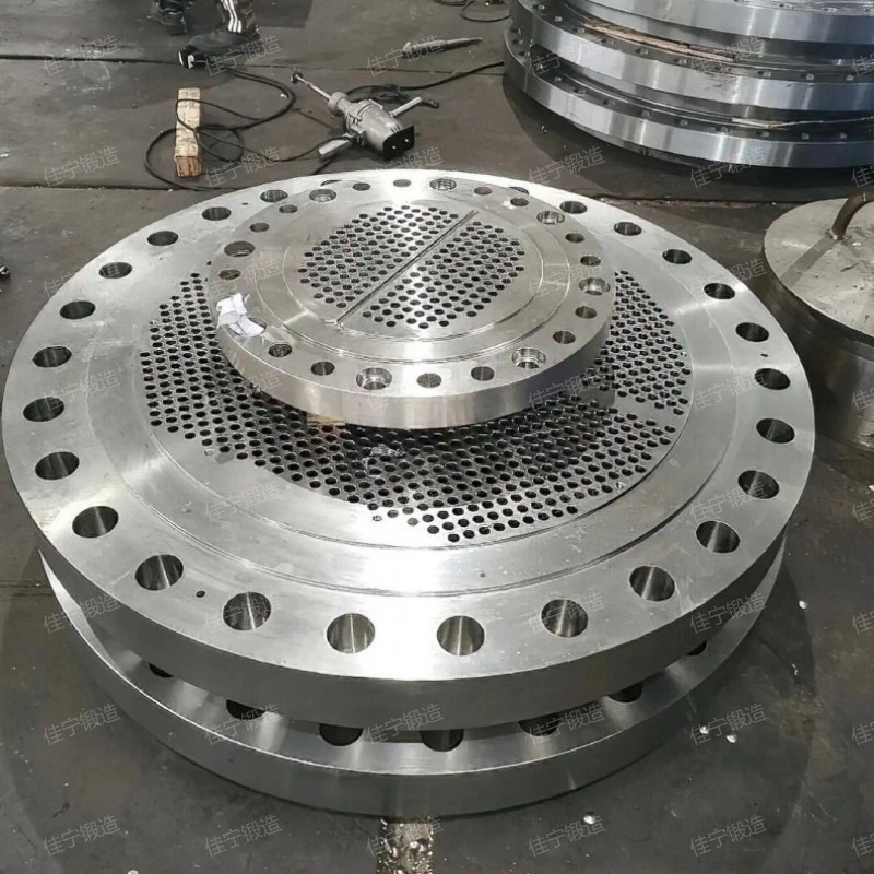 Stainless steel pancake forging parts