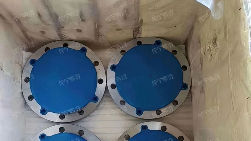 DN750 flange ring