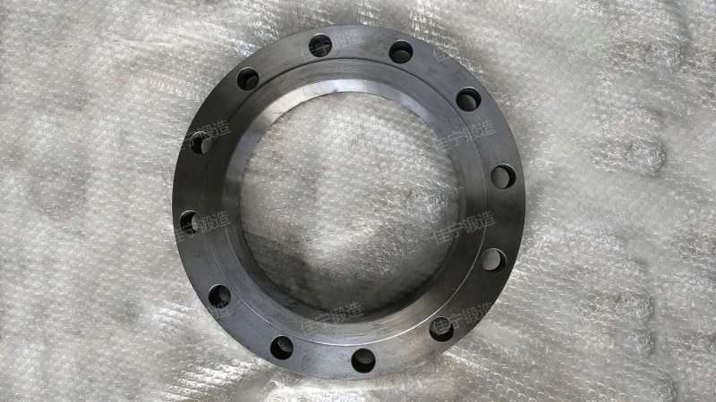 20 inch flange cover