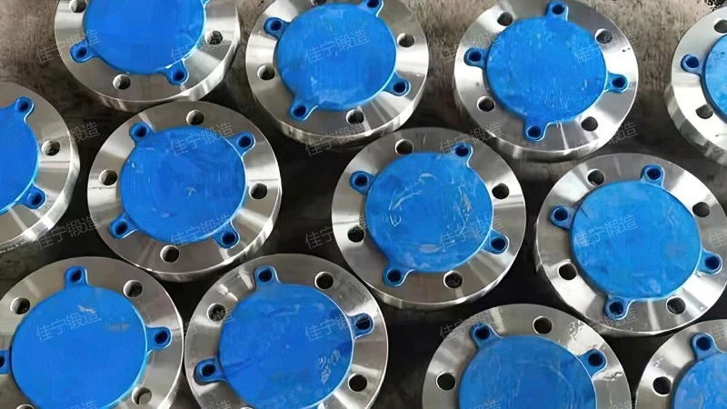 Threaded plate flange cover