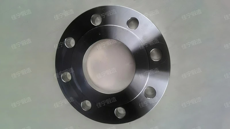 Threaded plate flange cover